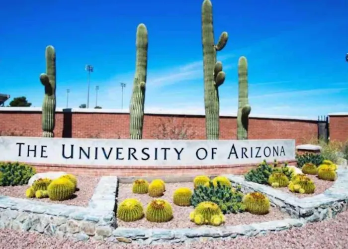 3 Blocks From U Of A - Near 4th Ave - 1 Bedroom 1 Ba * Tucson